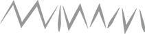 Бортны знак